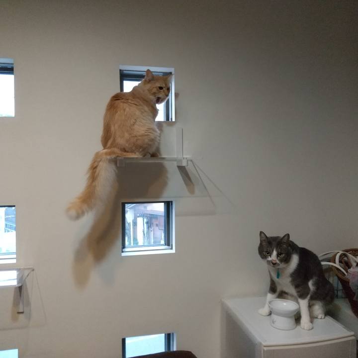 9b0f2a14 332a 4c44 b985 f87d571fd91c 1635804603579