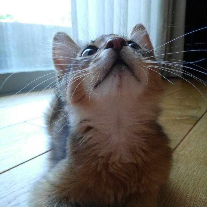 9b0f334d 57c6 4b50 8181 75e9c8f2acec 1595818901502