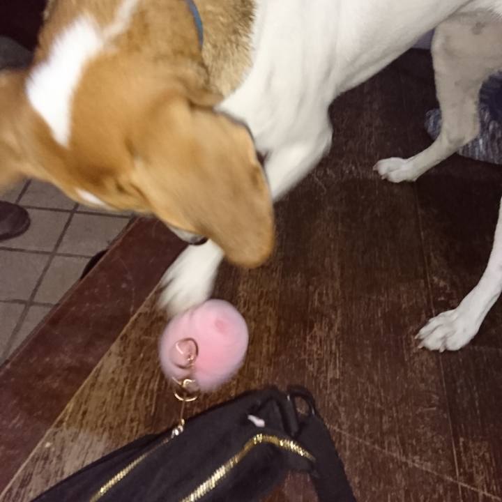 9b0f616a 7016 4db6 aeaa a49405bcc241 1575271778392