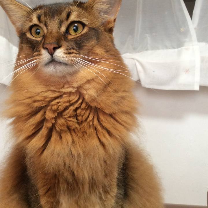 9b0fc353 861f 45e5 9119 e70d534f59df 1607156326318