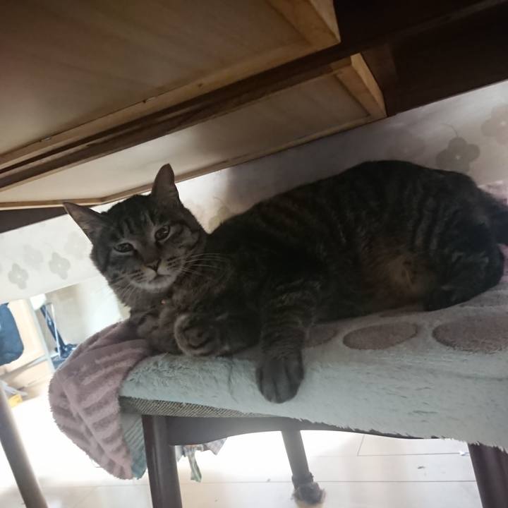 9b0fde88 9f80 4afa a9e2 30135d4bb336 1647378122296