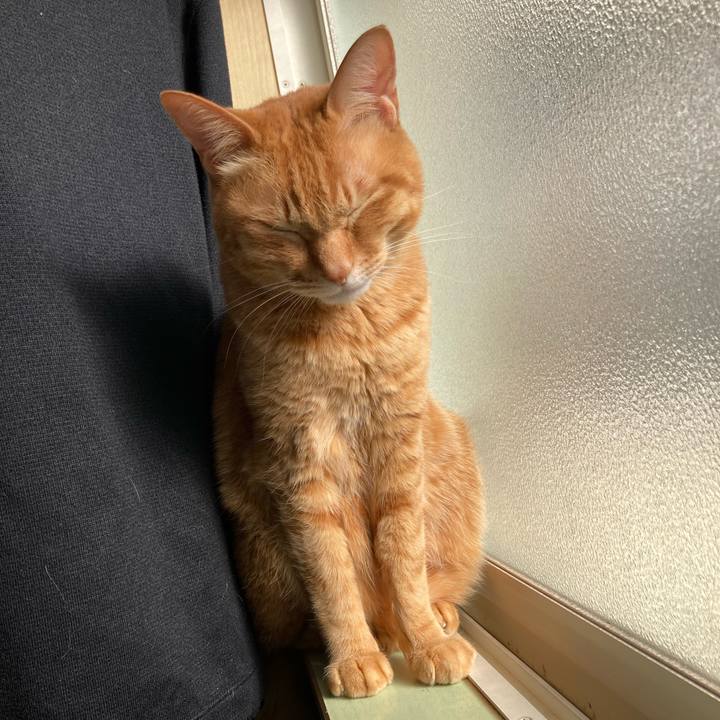 9b0fe42f 91dd 4008 9b27 edb89b6afdb5 1776424914556