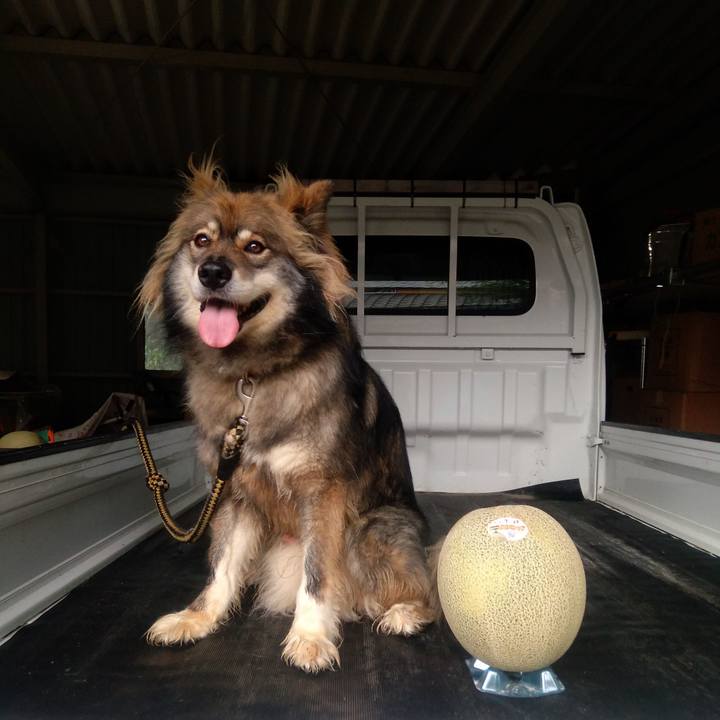 9b1004d8 e73e 4148 b3ea c62aab040326 1594085971814