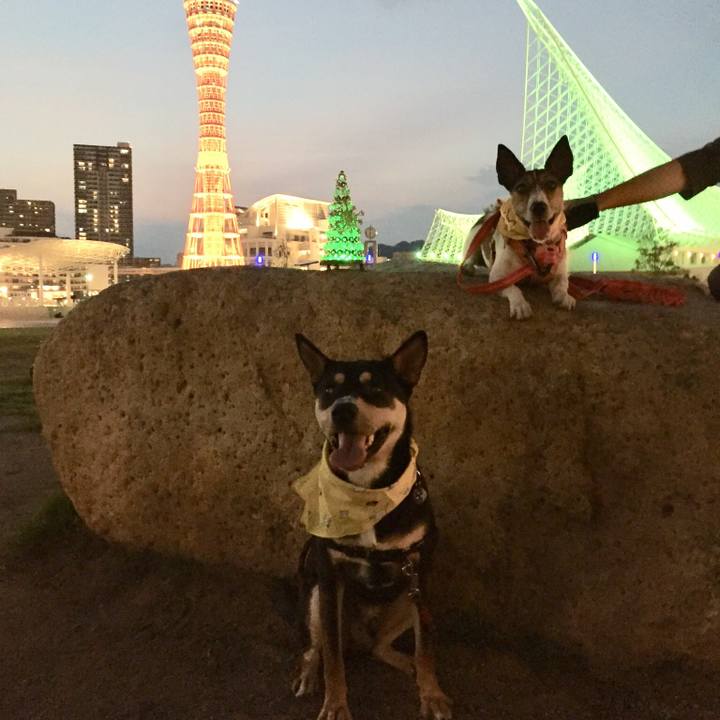 9b102761 f557 448c acc6 73d6ad2e0e2d 1537273573514