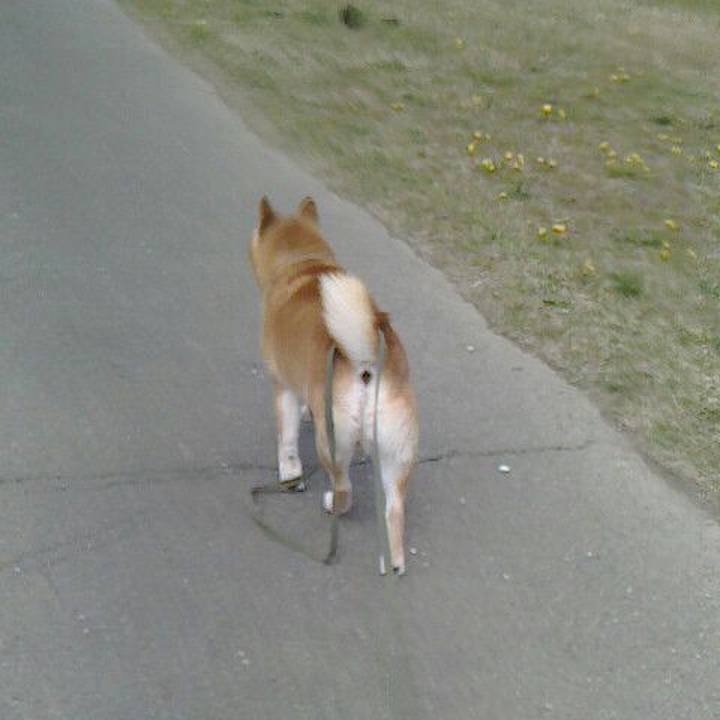 9b10382d fef5 4c09 9259 f9bc1f7b01fd 1555153234503