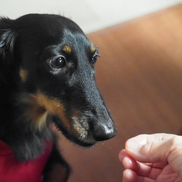 9b10464b 7599 41af a847 2ef90bd3799d 1545279805001