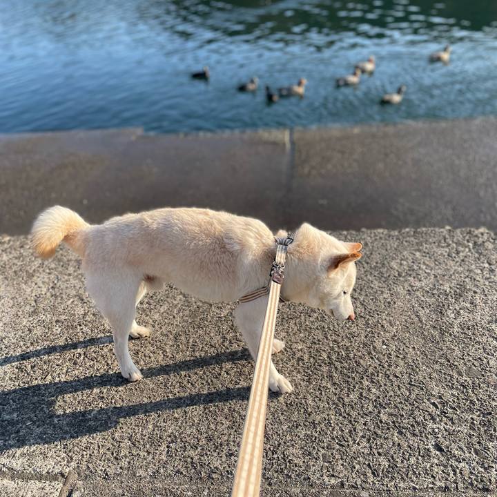 9b1062c1 fcdf 4070 80ad 169936eac029 1645191716653