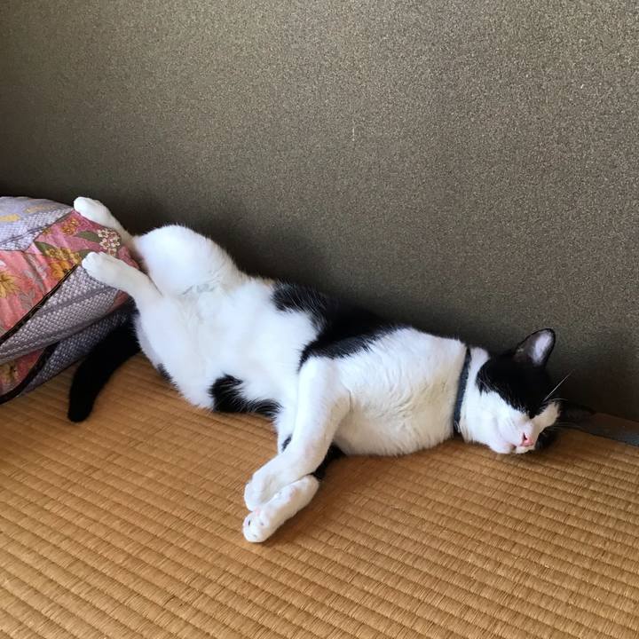 9b106c42 7fdd 485c 9d61 5a18e3aa5048 1658737177045