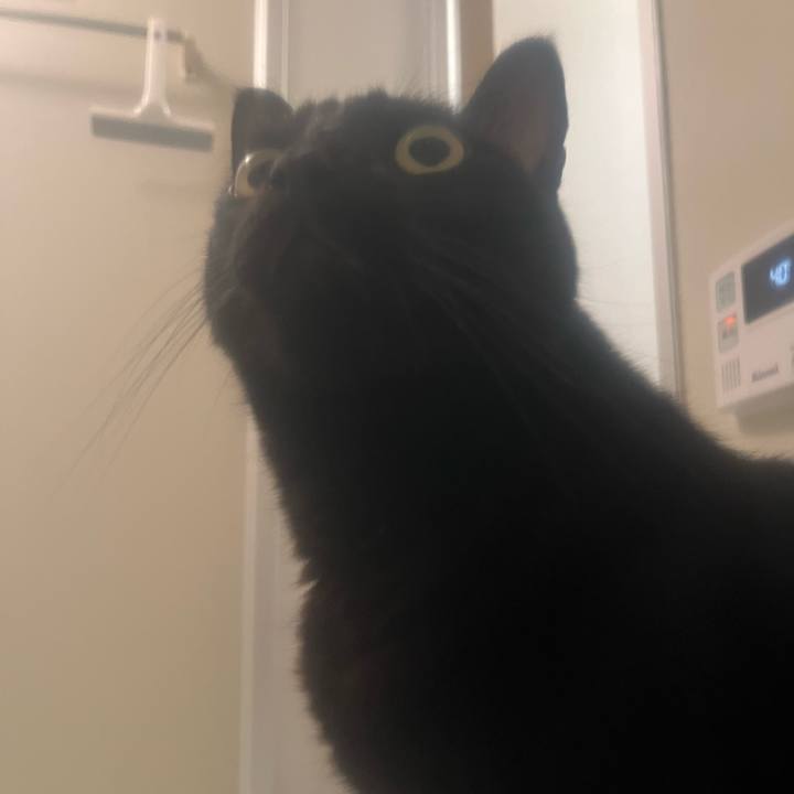 9b1089b1 69ca 4ce6 b5f4 01867da2ebf9 1760915647704