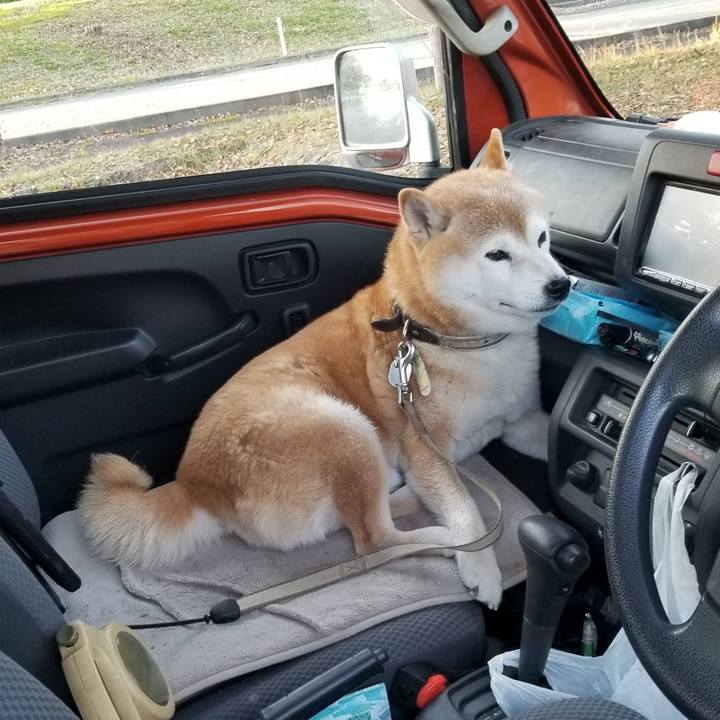 9b10a0fe 4158 4d29 82e5 4e615c64bd16 1698822656378