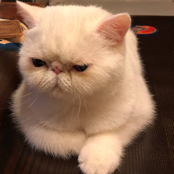 9b10b0f9 204e 44da 8c17 f247b4e1476c 1565356860366