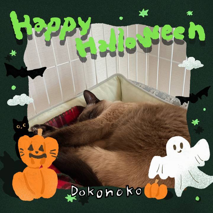 9b10f2c3 a4b4 4635 baf3 519c4a6783cc 1729561209156
