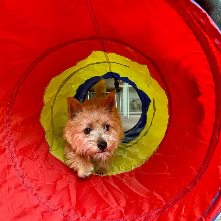 9b10f8c2 e26a 4628 ad5c 8b6c7582c975 1714227154919