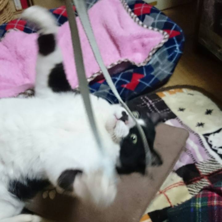 9b1106d2 d537 470d a776 bc42681b45e1 1521607119345