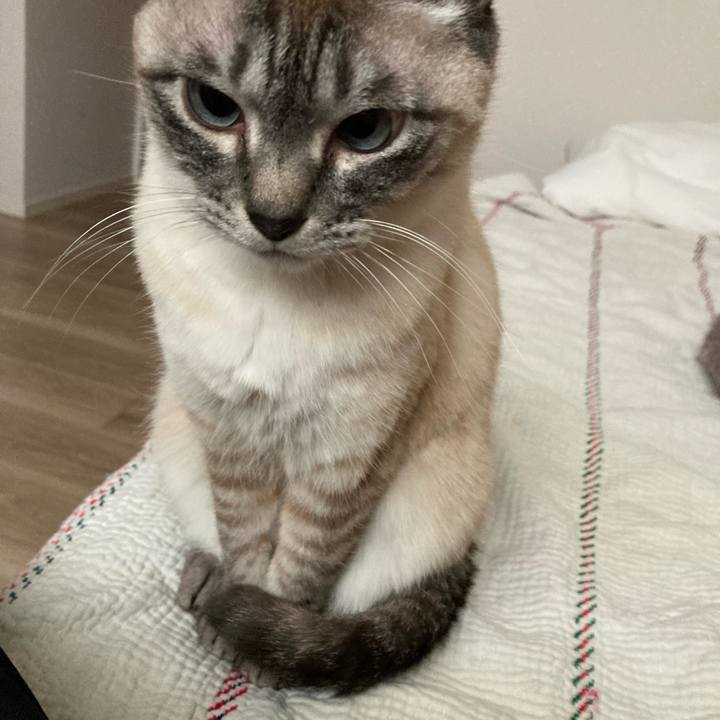 9b11453f 040c 42d5 b3ed e71ed36160ad 1746251412971