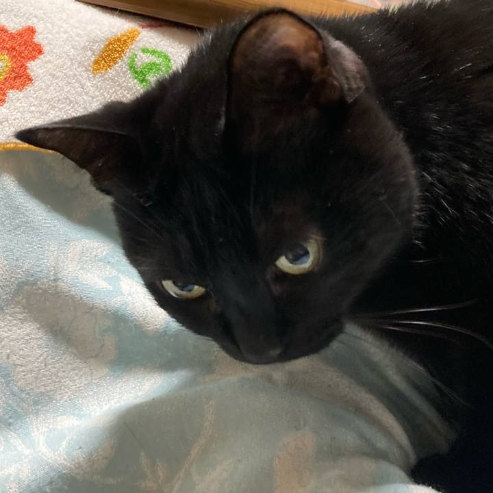 9b114dbc 5f81 4d07 aeb0 66d84b5512c6 1735645076180