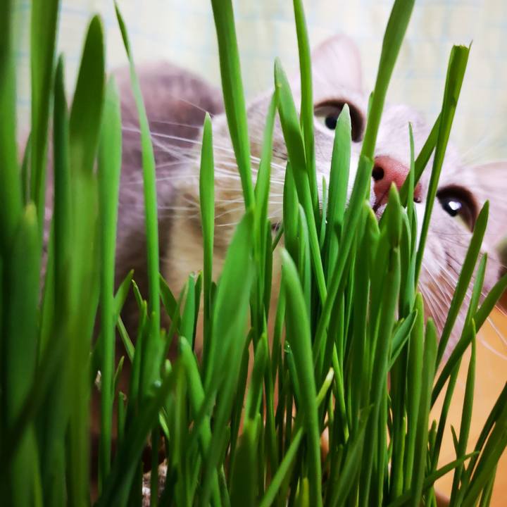 9b1178f8 09aa 4197 a0db 26e1d5761dfb 1575070904398