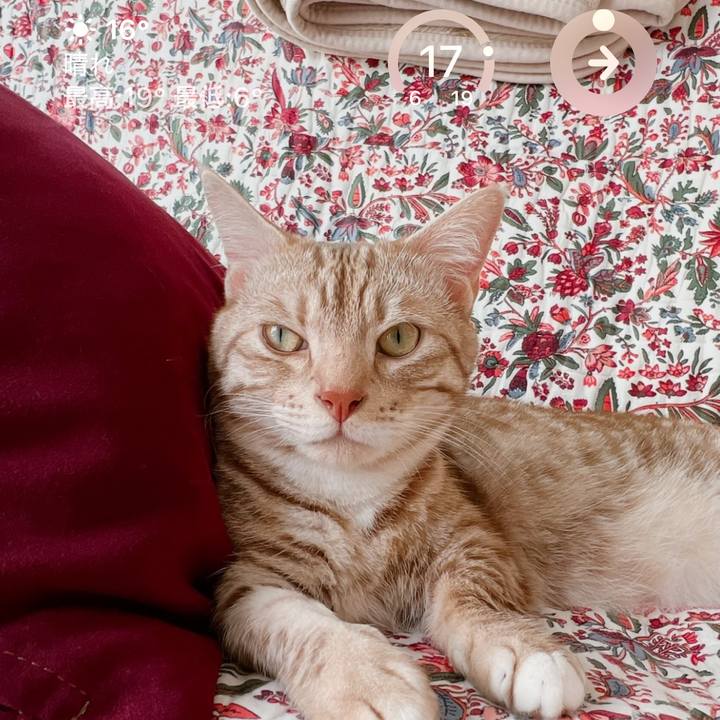 9b11913e f7b3 4fee aadf f68916da50f2 1678502216096