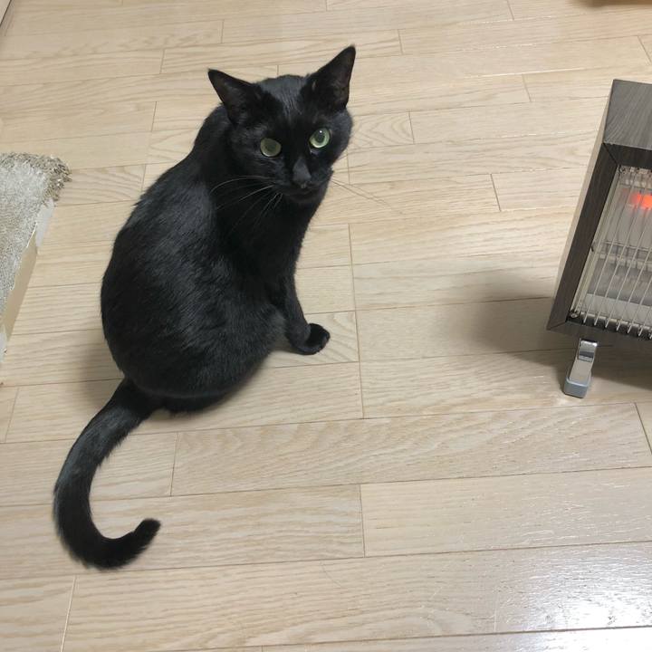 9b119d0c b21e 4970 91f0 56d35d9d3b24 1610974373603