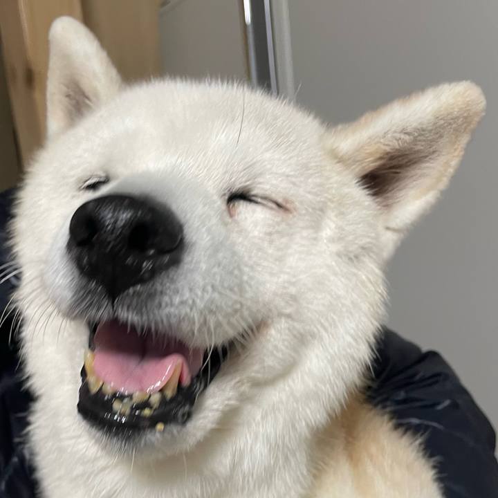 9b11b161 4f53 4035 b8a9 011066c1035f 1763417819006