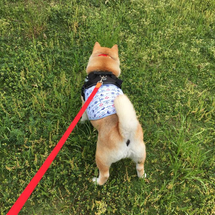 9b11b8be 026d 4ab1 9aa8 06cbab538b89 1557113466639