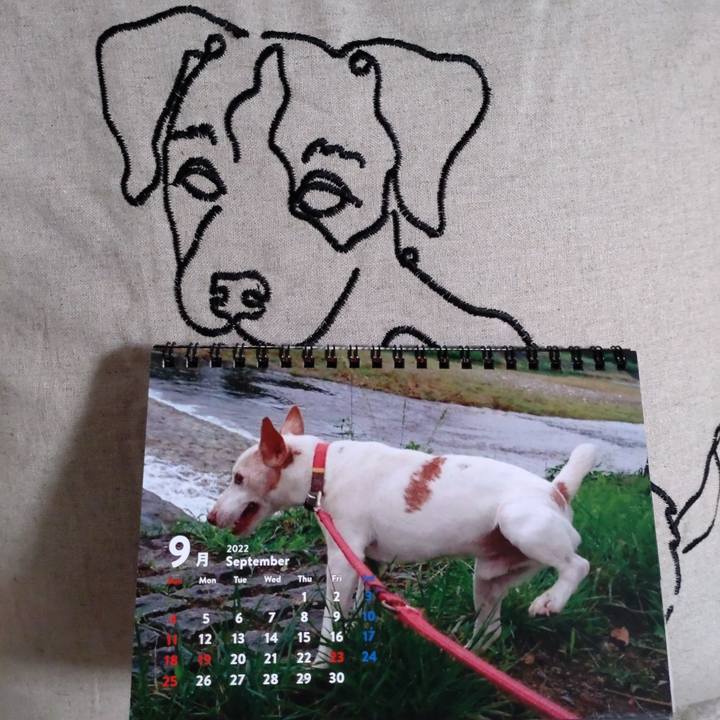 9b11bd9f a871 4ed1 960c 649e1b288ef3 1662394036724