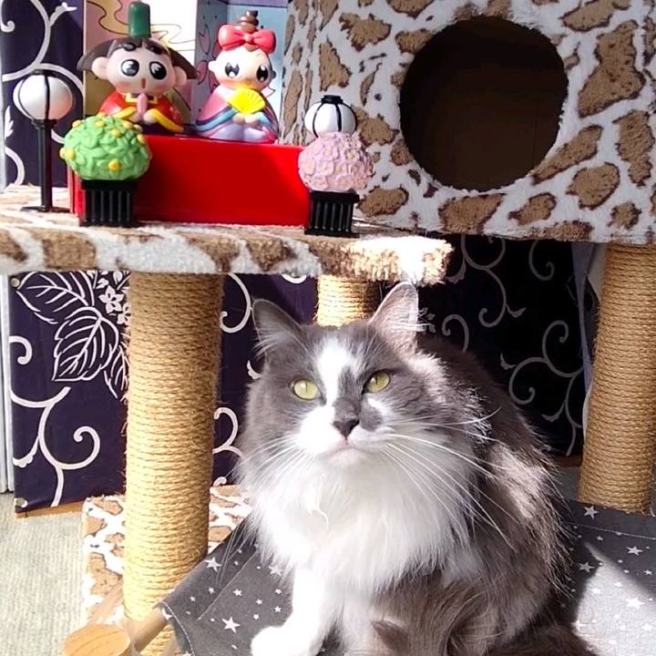 9b11d896 15dd 4b39 b322 e6e8ac129bbe 1709434817013