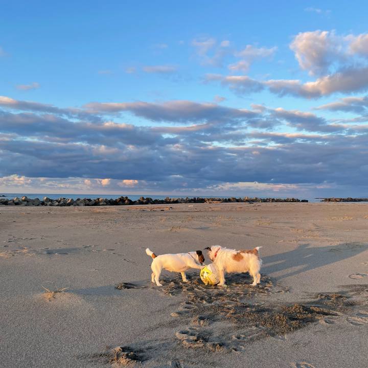 9b11ed4b 04fc 4036 a819 fe17dbadd516 1732522358587