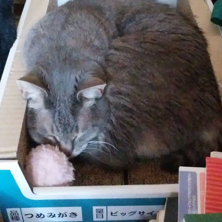 9b120848 d4bd 4542 aa29 f0b129b14efe 1562285453784