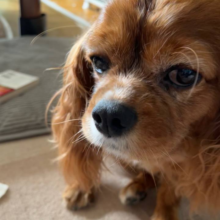 9b122322 1ba2 4f76 b38b e598a90bed2b 1663976002209