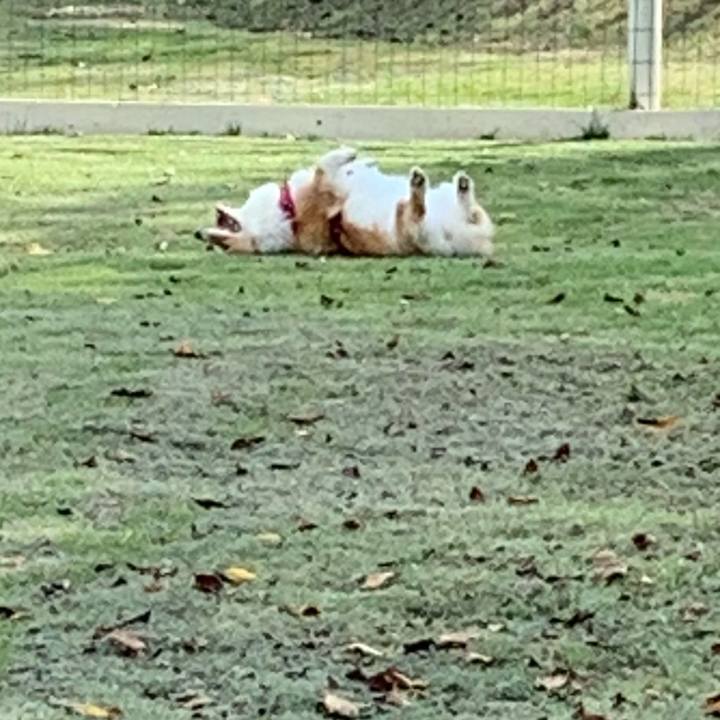 9b124dd6 0eaa 4164 9da3 0fc3963daa04 1726045830360