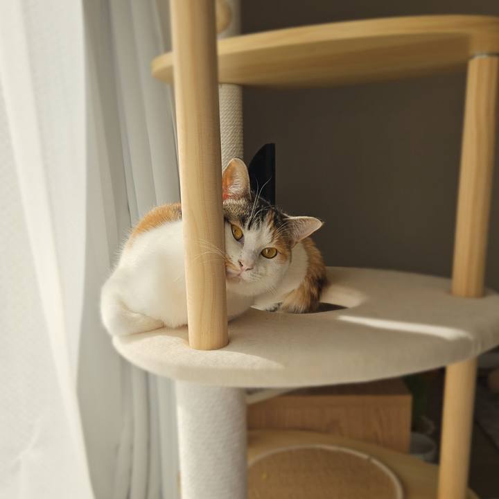 9b12be3f 2d57 4408 abcf b8a6c6a8f5b2 1765264205736