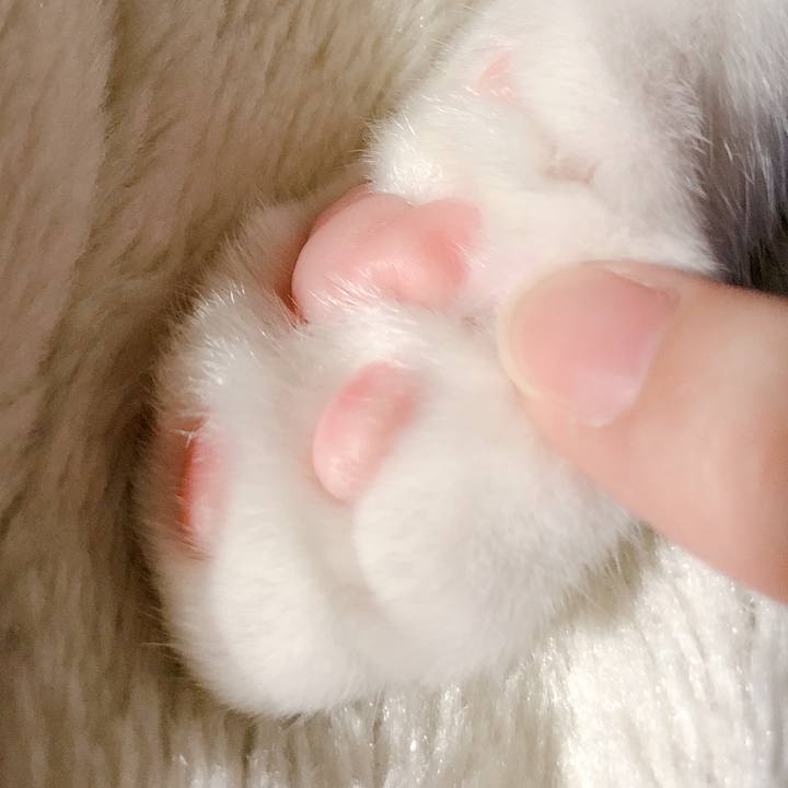 9b12c789 dc92 4c5b 8798 daf79e2a7526 1532223827134
