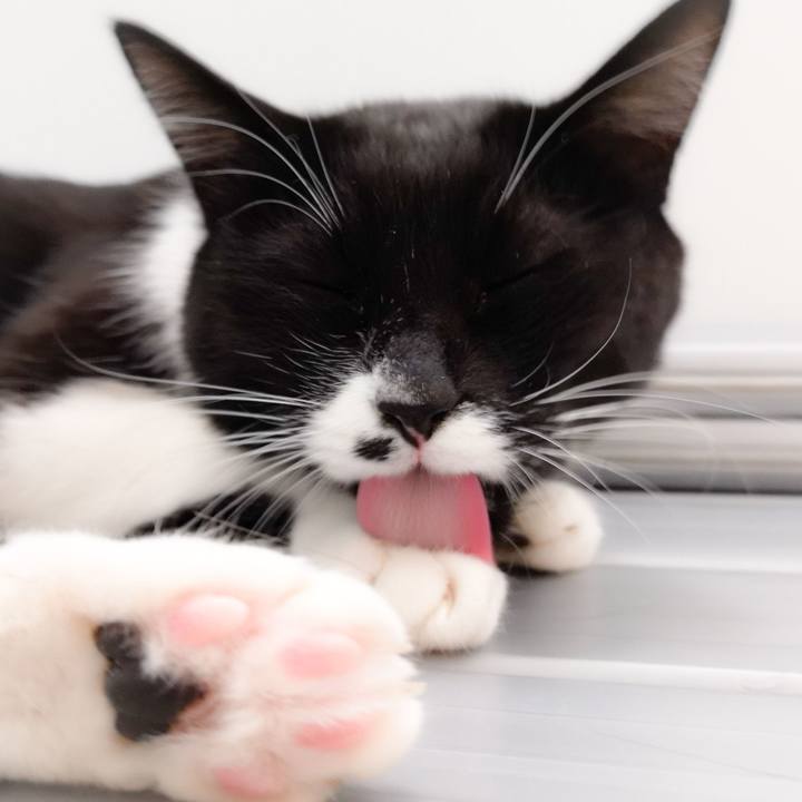 9b12ca78 ac9a 4c0f b839 744d1e86c735 1546711598914