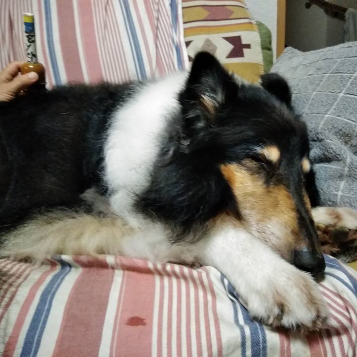 9b12edb3 3224 4fff b630 4d503f7499f1 1561889799862