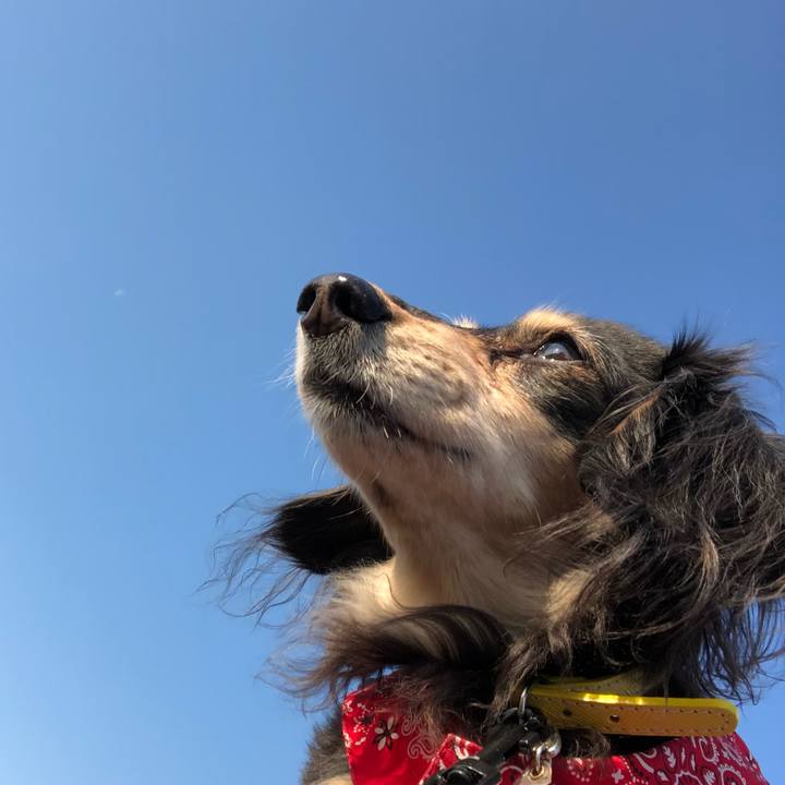 9b12fdf7 f47e 4f29 aada e3a1a78429ae 1609979121144