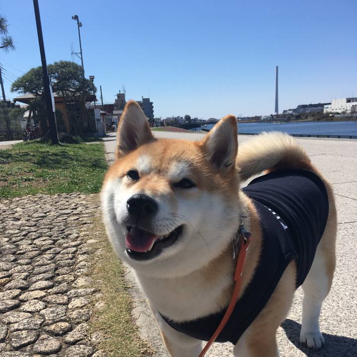 9b1331c3 c1e4 44a9 9b7e 550890de2ec4 1553401142878