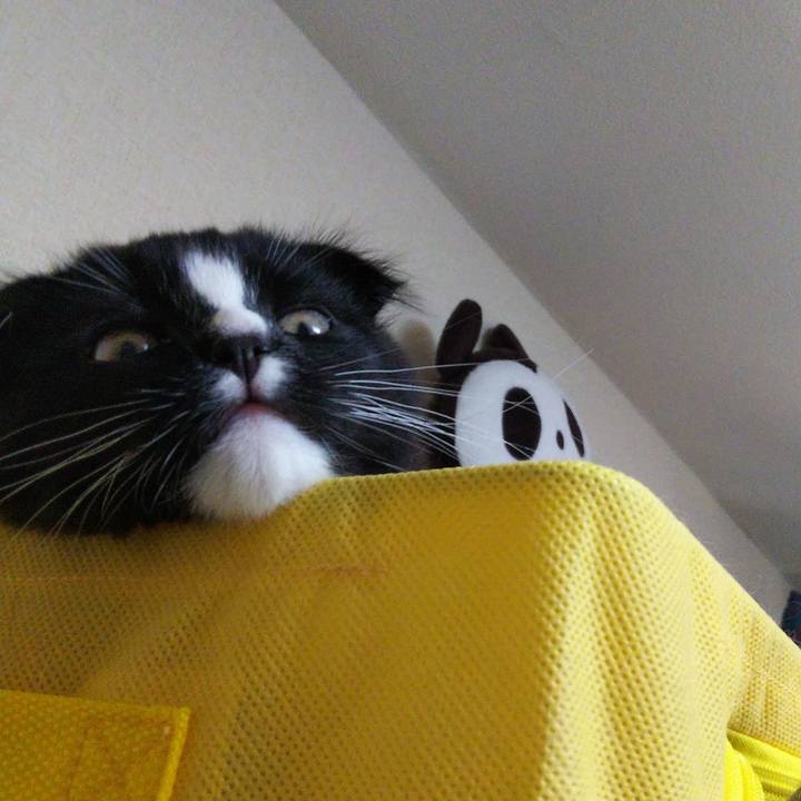 9b1333a5 95ce 4507 b17a 13ebaf46c7eb 1641611398585