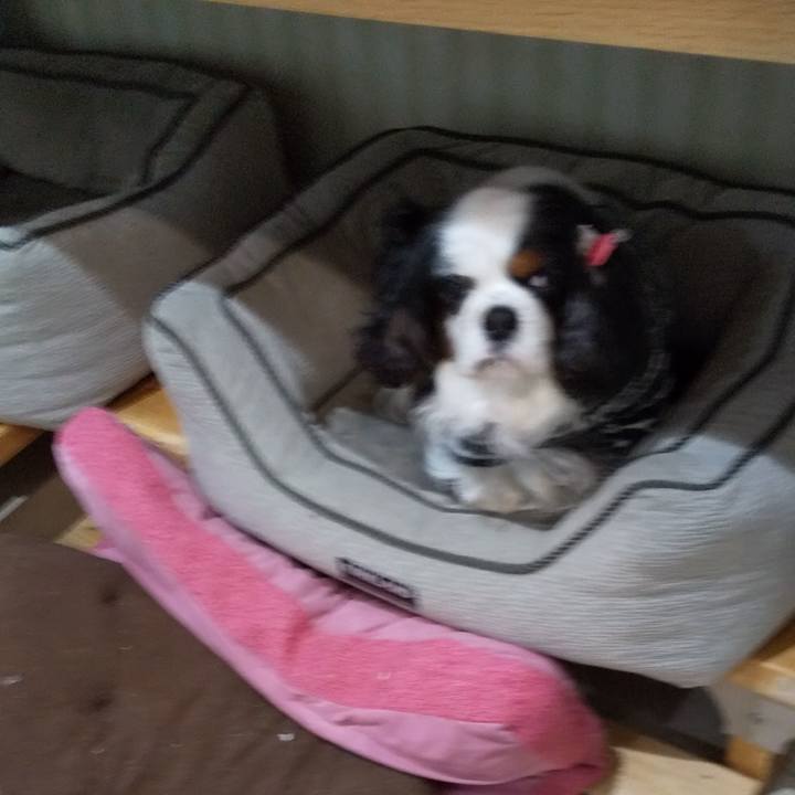 9b134e7d cb6d 4df7 9311 0efb53b1ca7c 1584835335705