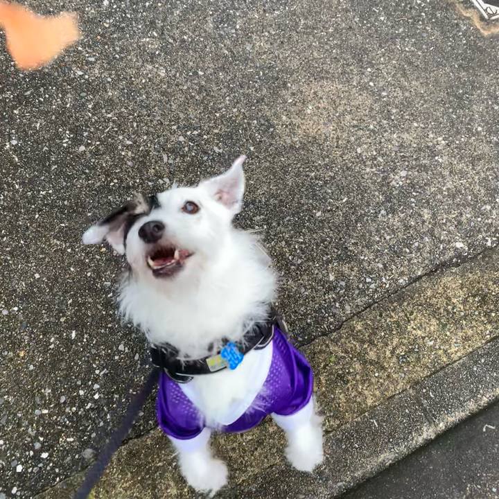 9b134ec0 0cdf 4f0e b058 6270583c0f74 1724918627113