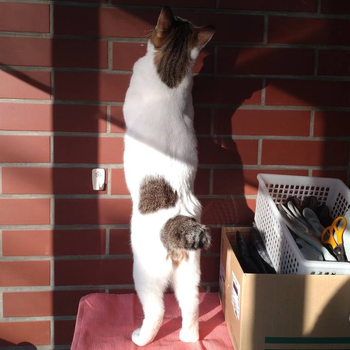 9b135124 3881 4a7d 9e3b 7a69a9bd739e 1679210762813