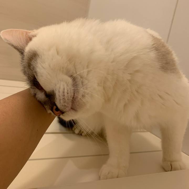 9b137051 cd89 4655 bac2 a3427fa20c21 1577700001086