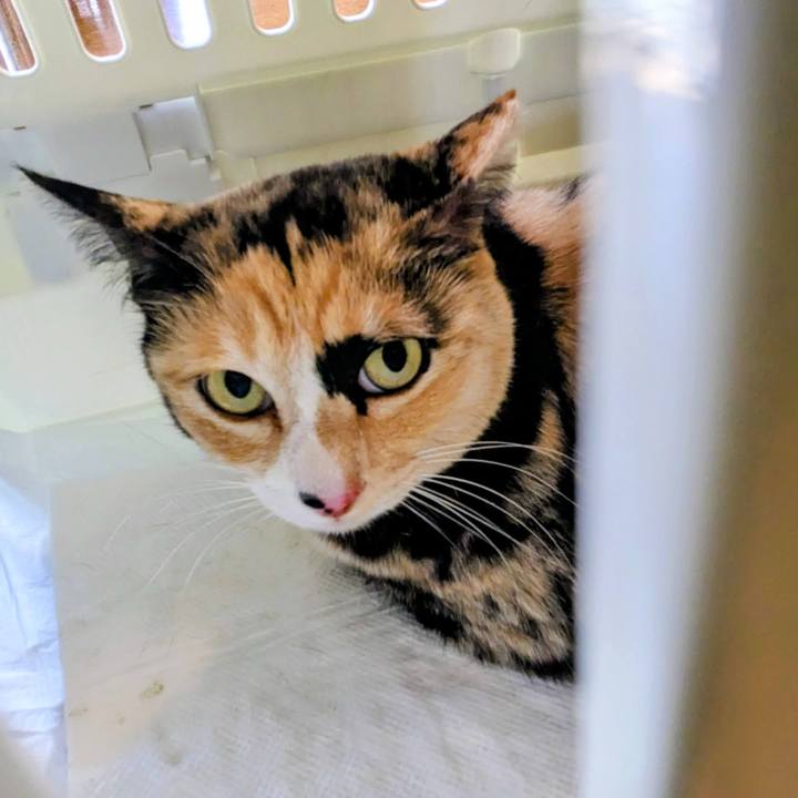 9b13be8f 2081 454e be87 53c7bf3fff06 1773756169265