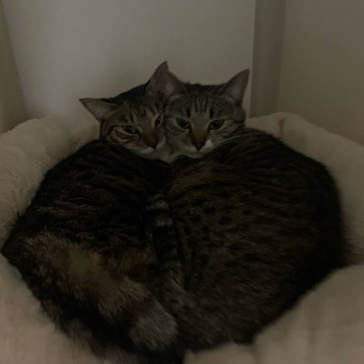 9b13f000 93e2 45b6 a344 1c3fc6396c82 1544517462084