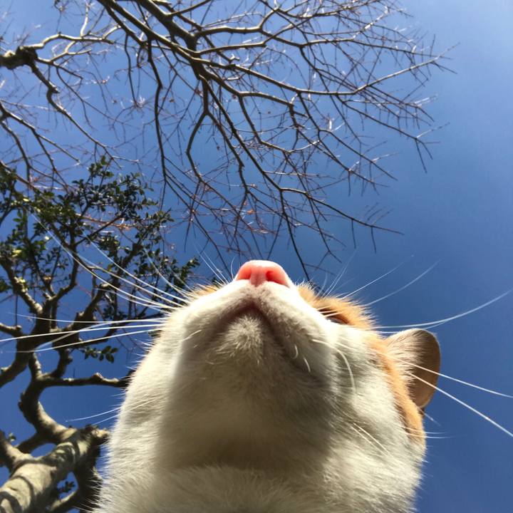 9b13fc65 864a 4b14 b768 14e520c16334 1518772850167