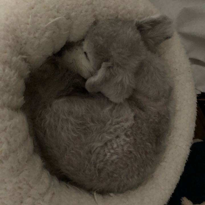 9b1417c0 248b 4c35 bdf0 146e46e839eb 1589202213542