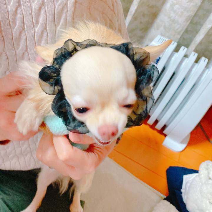 9b14298f 9e03 4058 8e7b d880e25cbe3a 1641531949382