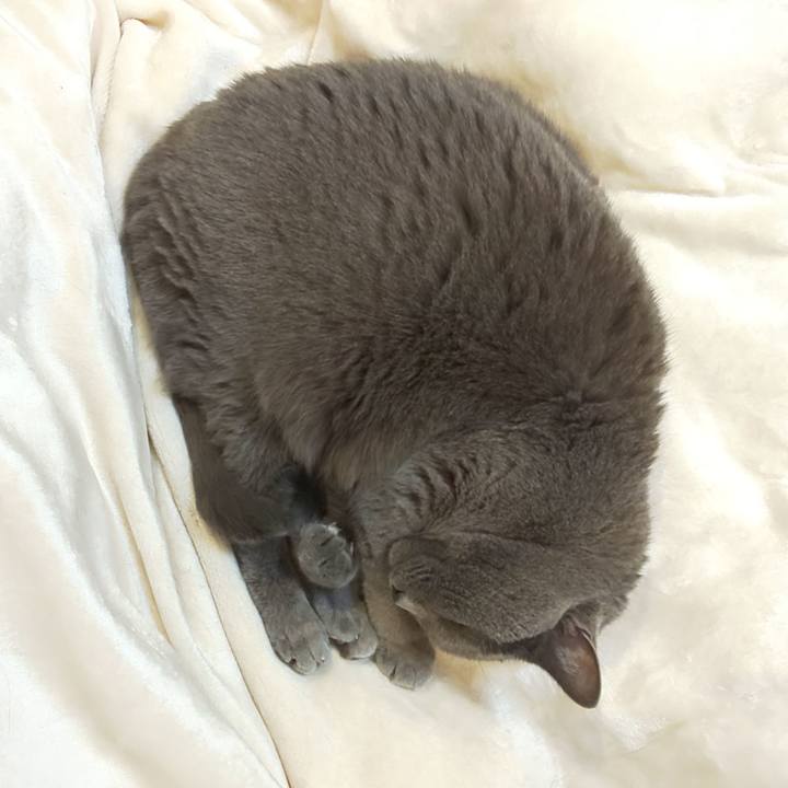 9b145473 efad 4e2d 80e4 0795faa04da5 1762429220516