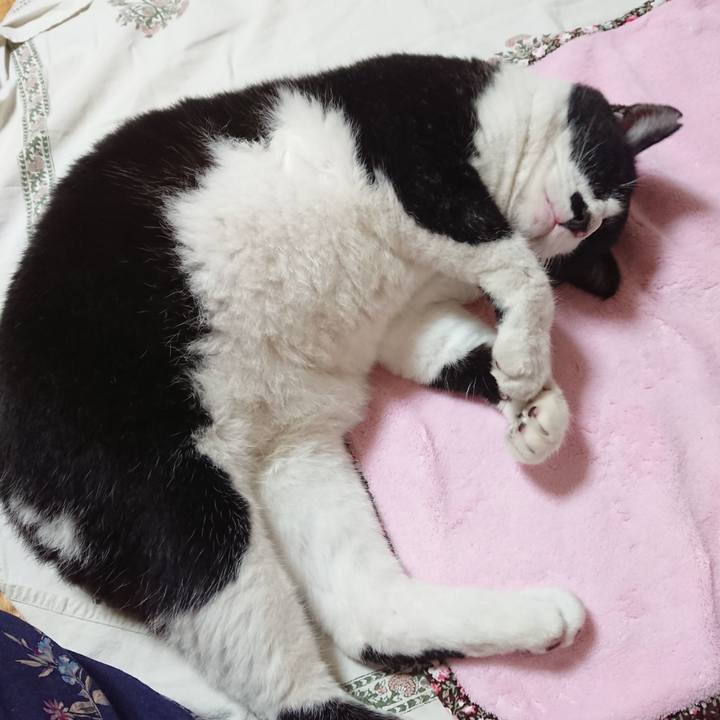 9b145cc9 36d3 4937 a4e5 975532e0fcb6 1600955675040