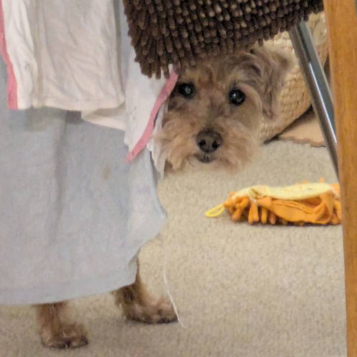 9b14636d e214 42b0 951b 832c886686dd 1774690271239